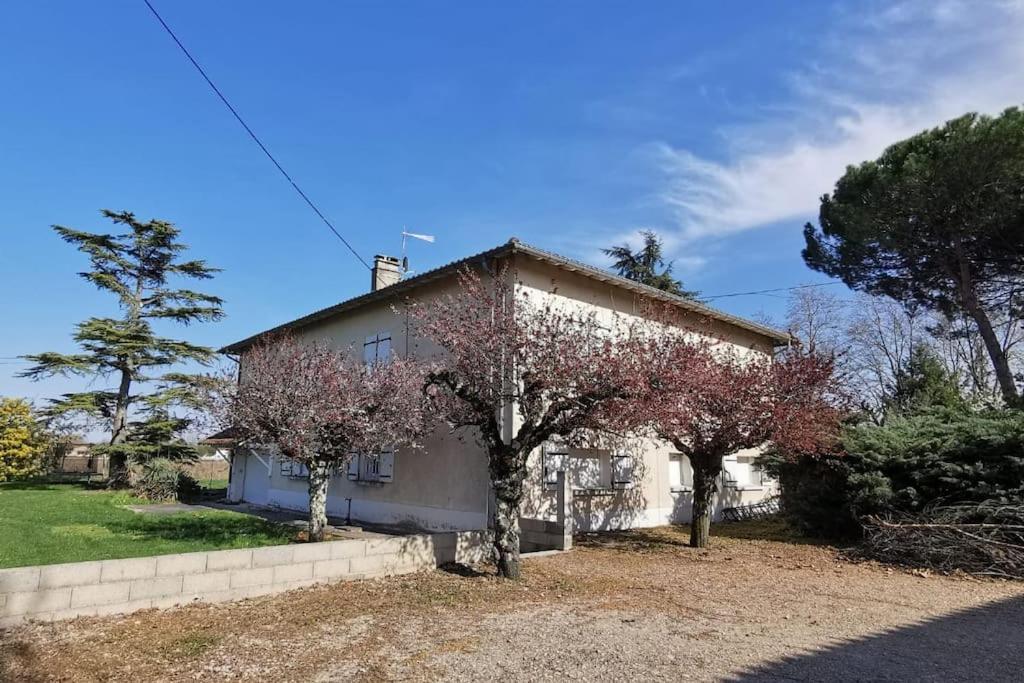 Maison Gaillacoise Bagian luar foto
