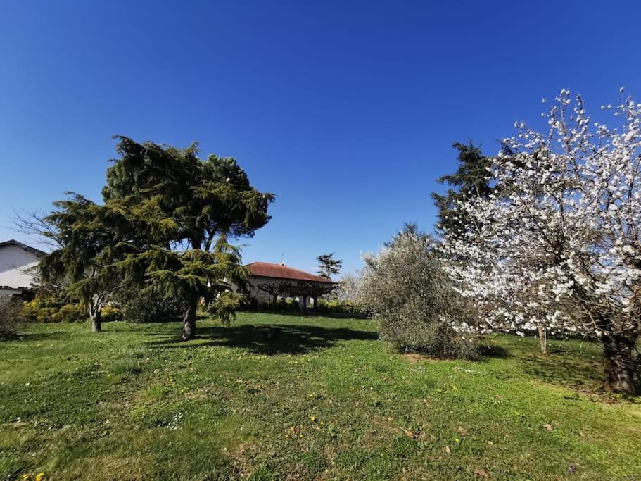 Maison Gaillacoise Bagian luar foto